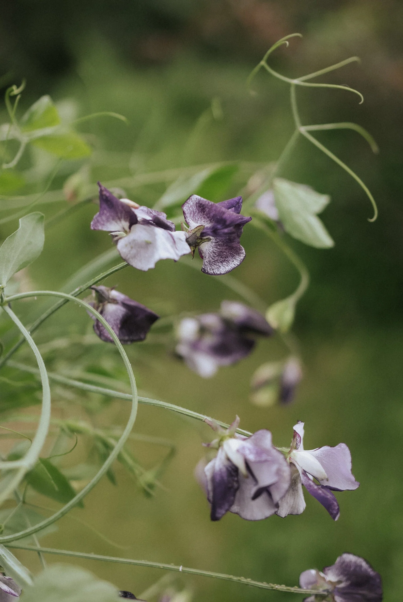 Produktbild 4