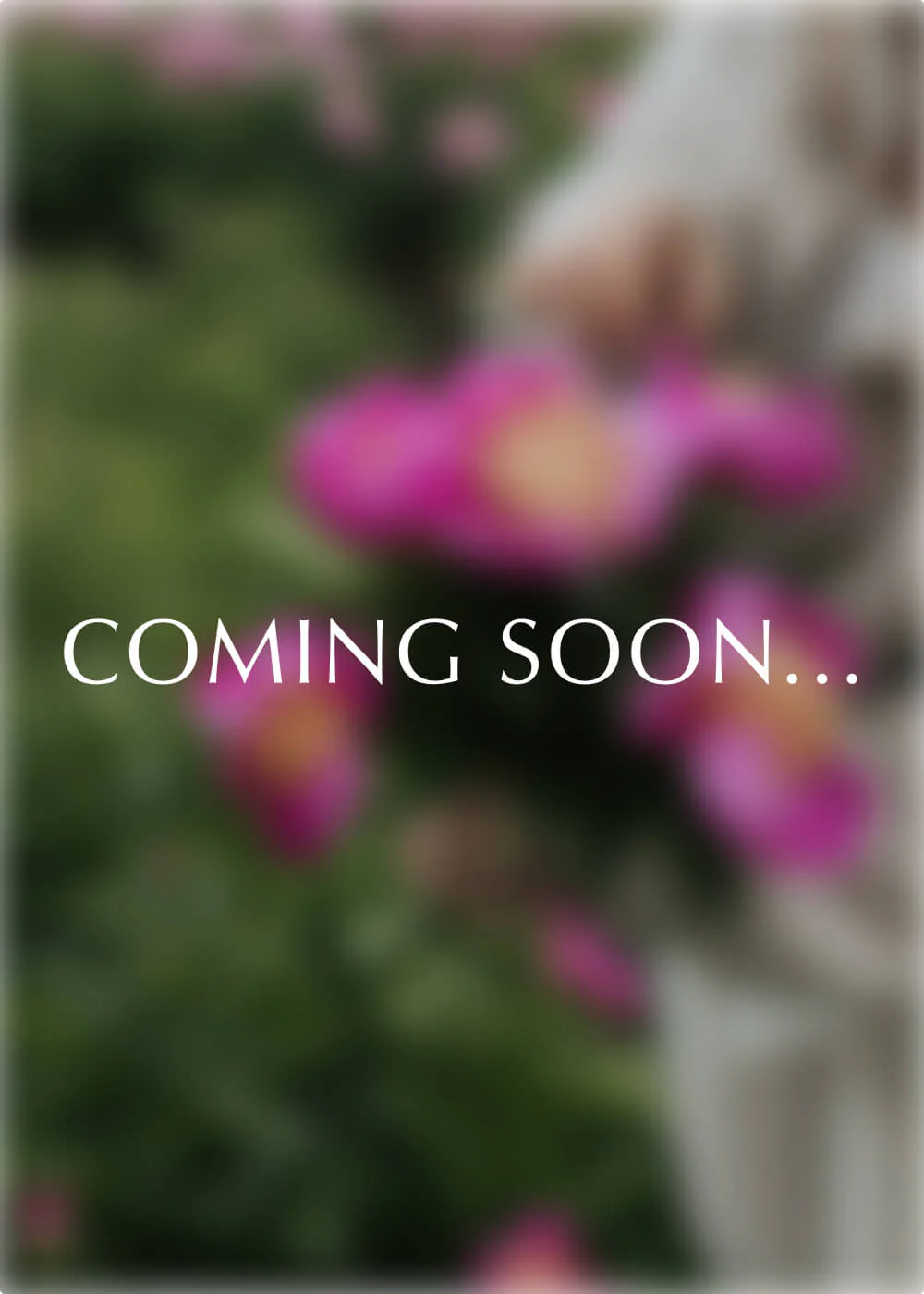 Produktbild 5