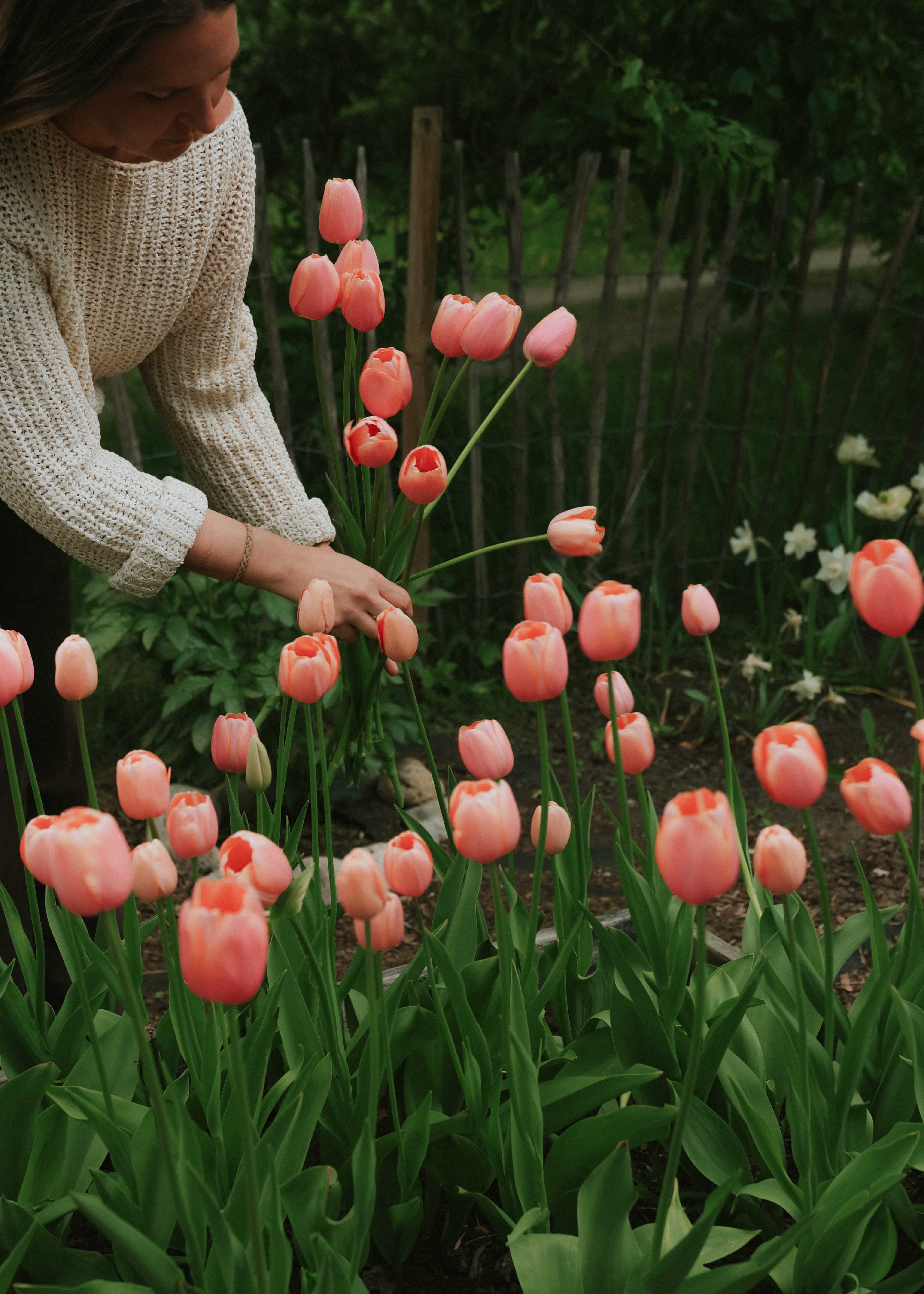Floreas Nyheter 2026